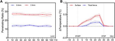 Transdermal tibial nerve optogenetic stimulation targeting C-fibers